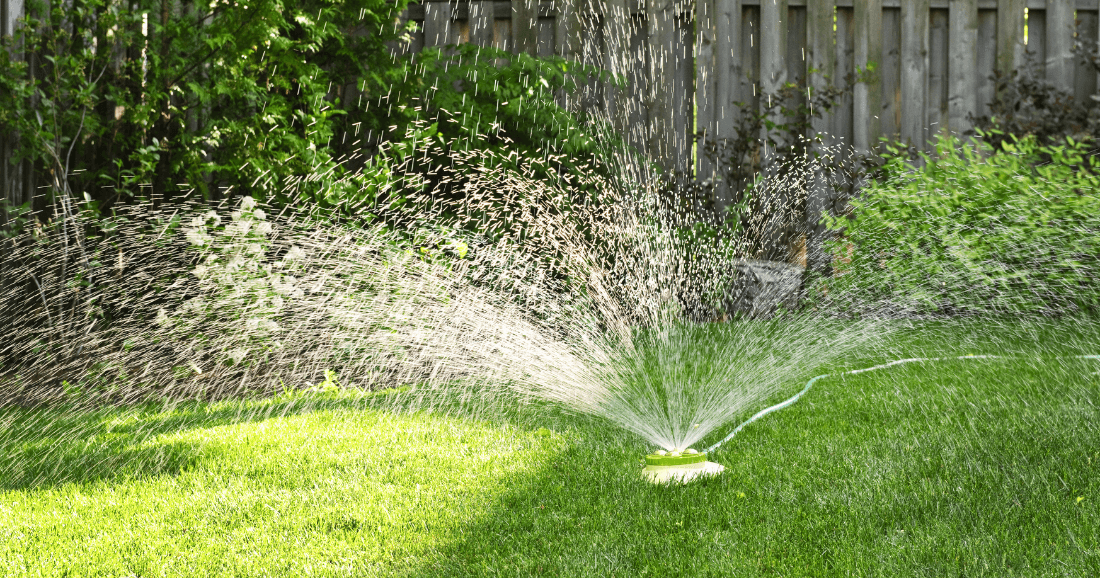 How to Green Up Your Lawn - 13 Effective Ways - FoliarTech®