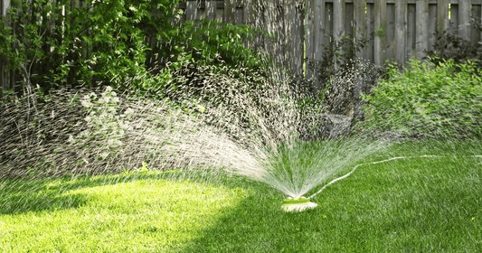 How to Green Up Your Lawn - 13 Effective Ways - FoliarTech® 