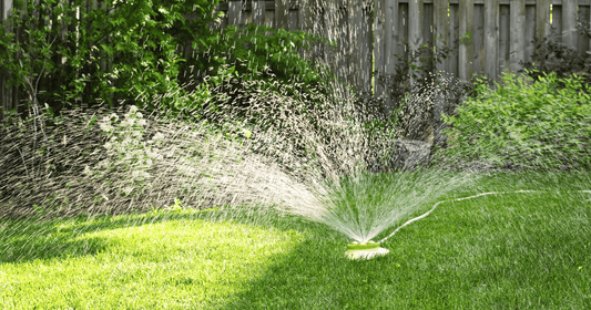 How to Green Up Your Lawn - 13 Effective Ways - FoliarTech®