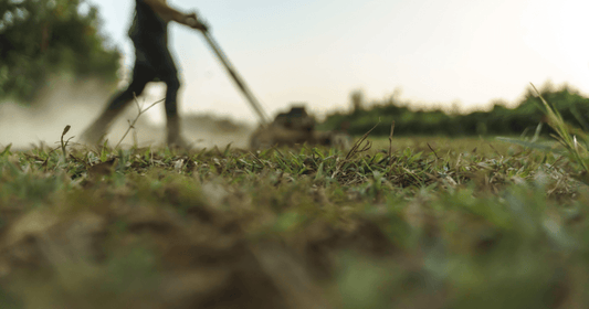 How to Tell if Your Lawn Needs Lime? - FoliarTech®