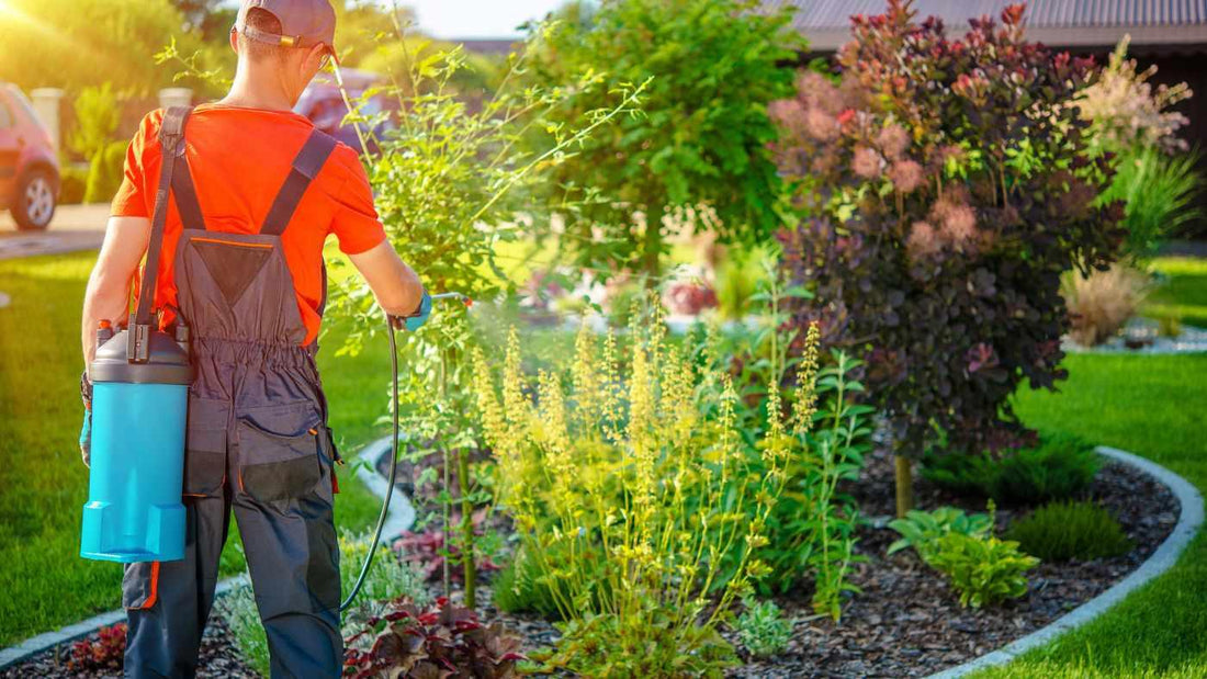 Unlocking the Benefits of Humic Acid Liquid for Your Garden - FoliarTech®