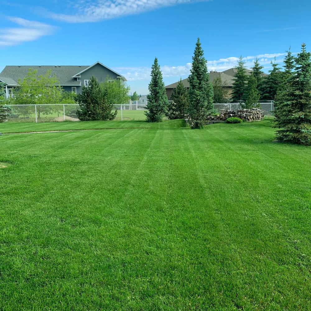 Big Garden