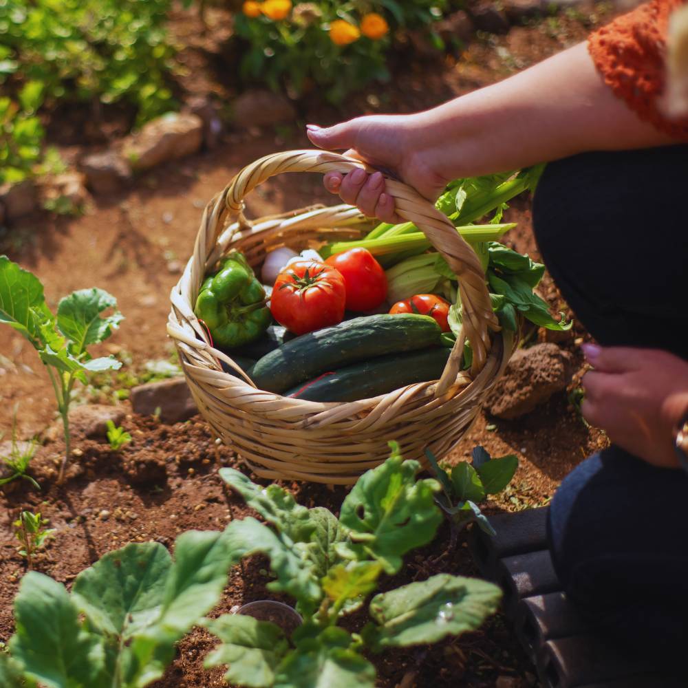 Vegetables