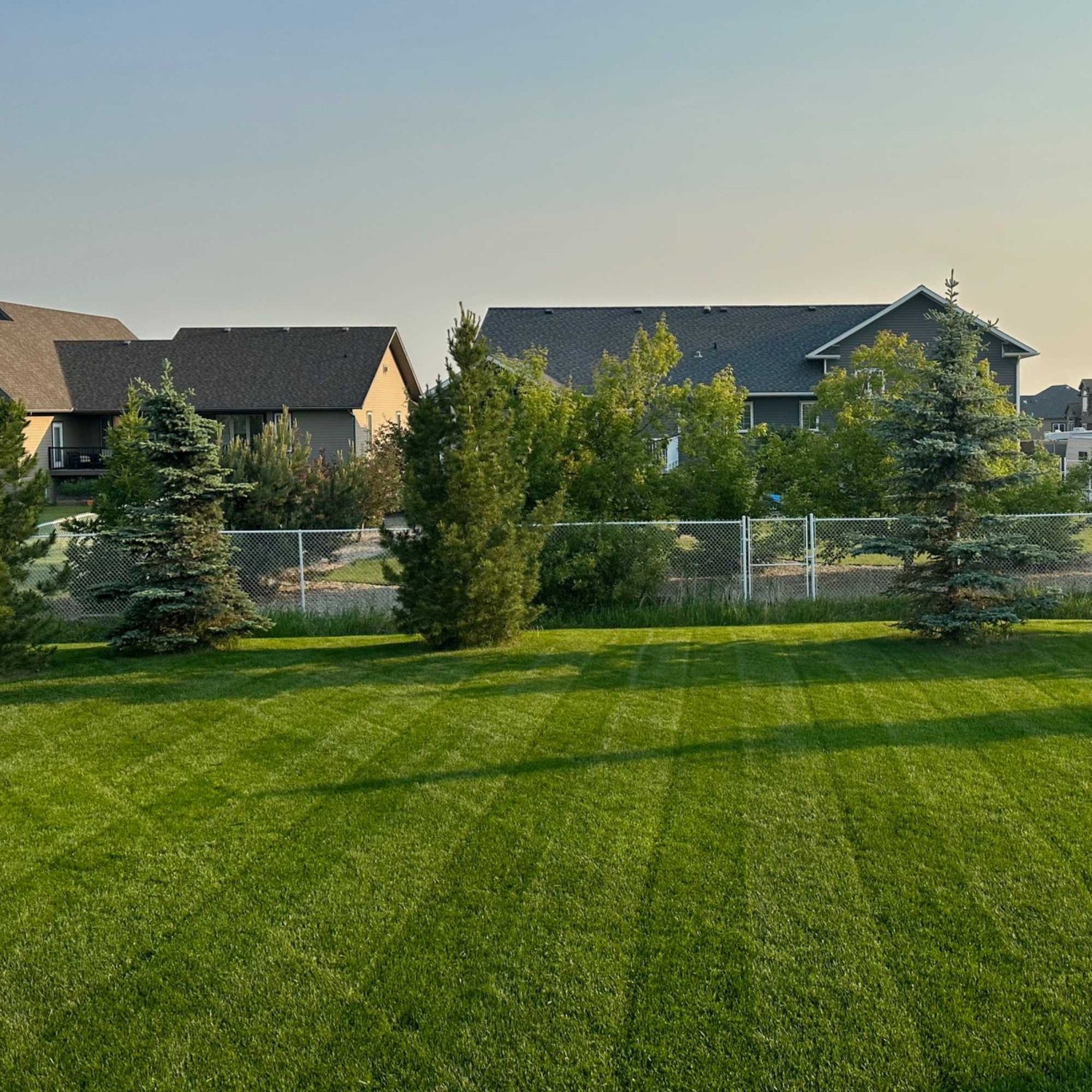 Big Garden