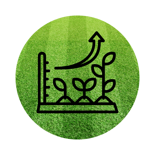 growth plant icon